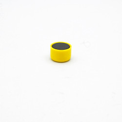 Aimant d'Affichage Ø12x8mm
