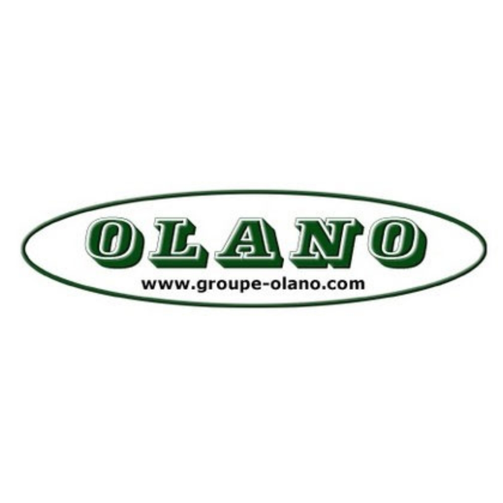 Olano Artix Logo