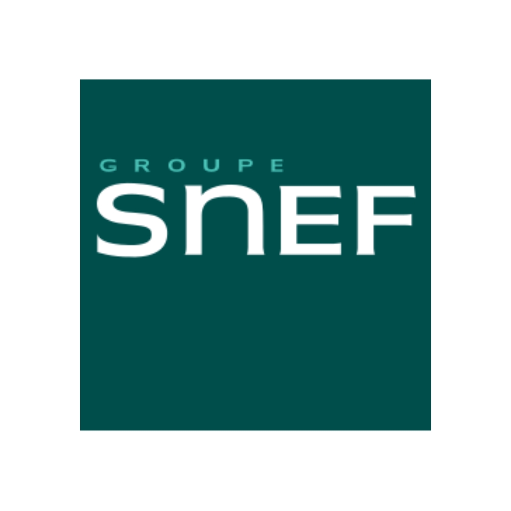 Groupe SNEF - Client CT Magnet Groupe SNEF logo